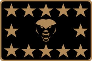 Tier 3 Bronze Patch